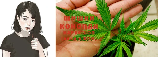 прущие грибы Бронницы