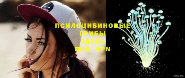 молекула духа Белоозёрский