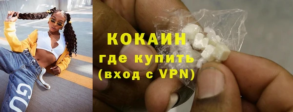 прущие грибы Бронницы