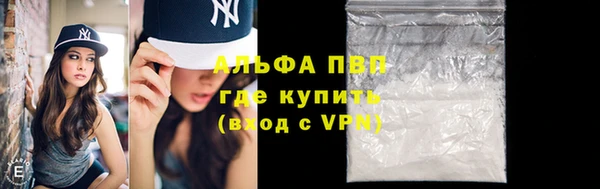 прущие грибы Бронницы