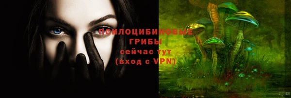 прущие грибы Бронницы