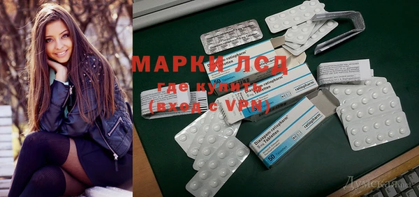 прущие грибы Бронницы