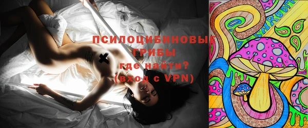 прущие грибы Бронницы