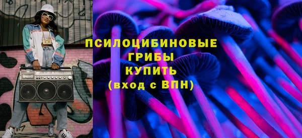 прущие грибы Бронницы
