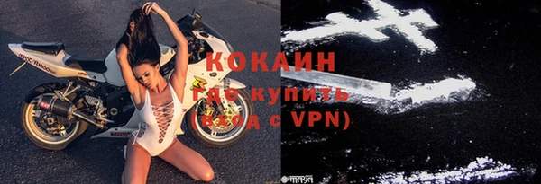 прущие грибы Бронницы
