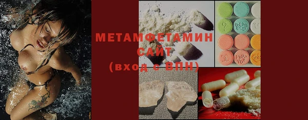 прущие грибы Бронницы