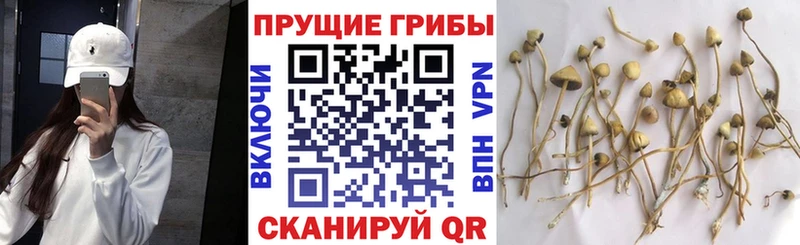 Псилоцибиновые грибы ЛСД где найти Ворсма
